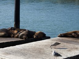 QueenVictoria2015-082